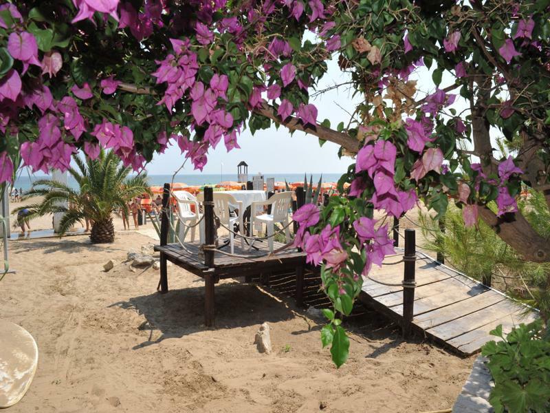 Villaggio Camping Punta Lunga Vieste Eksteriør billede